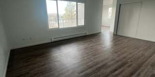 Newly Renovated - 3 Bedroom, 2 Bathroom Apartment - Pacific Terrace Gallery 1