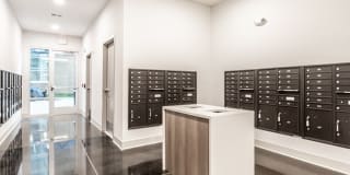 Grid Gallery 20