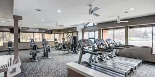 Laurel Valley Gallery 13