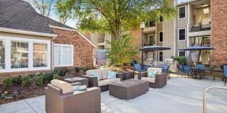 Harmony on Main Gallery 28