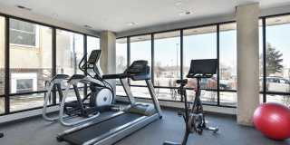 The Serene Gallery 6