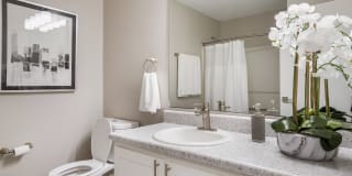 The Luxe of Southaven Gallery 15