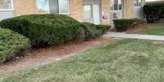 25337 S Montmartre Court Gallery 1