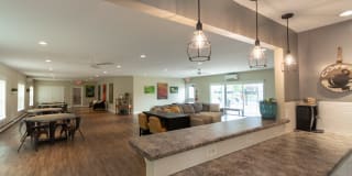 Lake of the Woods Gallery 39