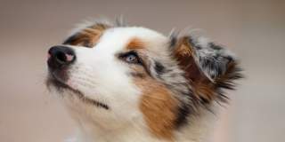 Huntington Pointe III Gallery 24