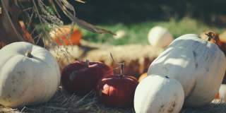 Fox Ridge Apartments Gallery 37