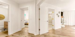 229 Bonair St Gallery 25