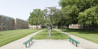 Carrington Drive Gallery 1