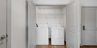 The Washingtons Gallery 8