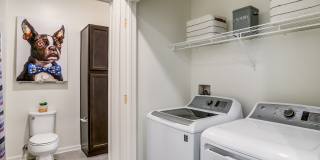 Allure Apollo Gallery 4