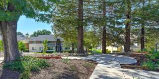 Canyon Terrace Apartments Gallery 21