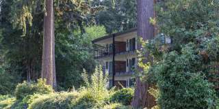 Cliffside Apartments Gallery 35