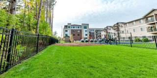 Legacy Pointe Apartments Gallery 41