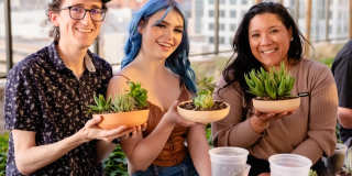 X Phoenix Gallery 42