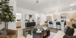 The Aster at Mountain Vista - BRAND NEW Gallery 8