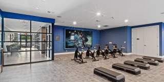 Canter Green Gallery 23