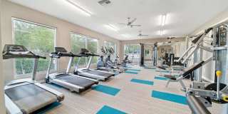 19137 Us Hwy 19 N Gallery 4