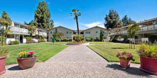Mission Park Gallery 8