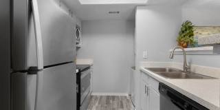 District 2308 Gallery 31