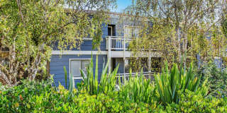 Fabulous condo at the Saddleback complex Fabulous condo at the Saddleback complex Gallery 1