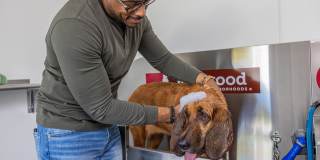 Redwood DeWitt Gallery 23