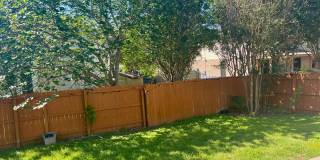 Spacious 4 Bedroom Home with Covered Patio in Cibolo Gallery 21