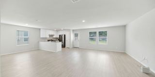 10135 Braun Cloud Gallery 7