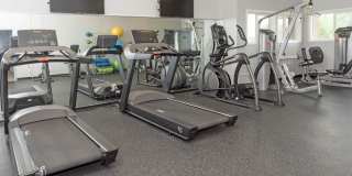 Cinnamon Ridge Gallery 29