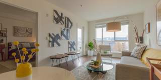 Linden Apartments Gallery 7