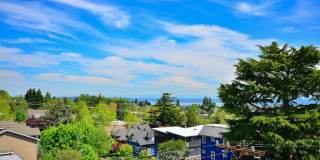 Ruth Court Gallery 23