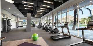 The Piedmont by Mark-Taylor Gallery 10