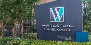 Whitestone at Landmark Gallery 25