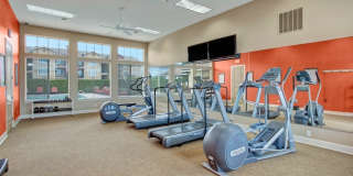 The Vintage Gallery 16