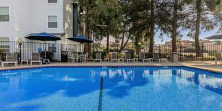 The Hazelwood Gallery 7