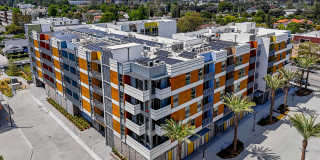 Citrus Commons Gallery 42