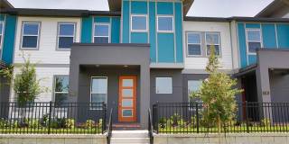 7389 ALPINE BUTTERFLY Lane Gallery 1