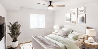 Coconut Palm Club Gallery 42