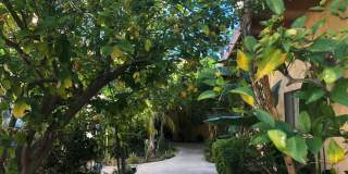 Las Palmas Villas Gallery 8