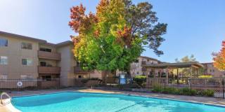 Modern 2-Bedroom Condo with Pool and Koi Pond Views Gallery 31
