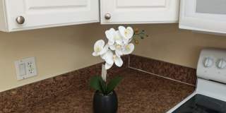 Charming 1 Bedroom / 1 Bathroom Condo – First Floor Unit with Florida Room in a Gated Community. Gallery 8