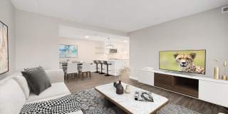 Modern, Tranquil, High-End Apartment in Downtown Downers Grove Gallery 10