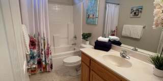 3 Bedroom House Available Now 3 Bedroom House Available Now Gallery 6
