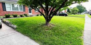 Beautiful East End Home in Rolling Hills – Prime Louisville Location! Gallery 1