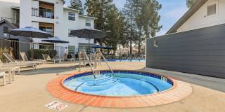 The Hazelwood Gallery 5