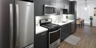 Alexan Webster Gallery 2