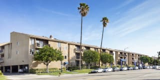 Northridge Gardens Gallery 11