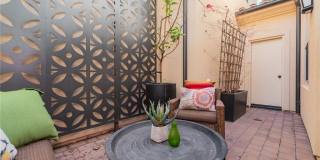 144 Velvet Flower Gallery 24