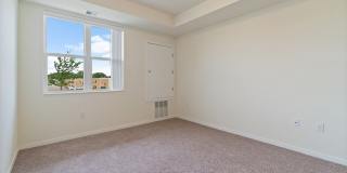 The Oasis at Twin Lakes Gallery 42