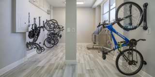 The Indigo Gallery 13