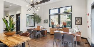 Hollister Village Gallery 22